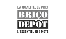logo Brico Depôt