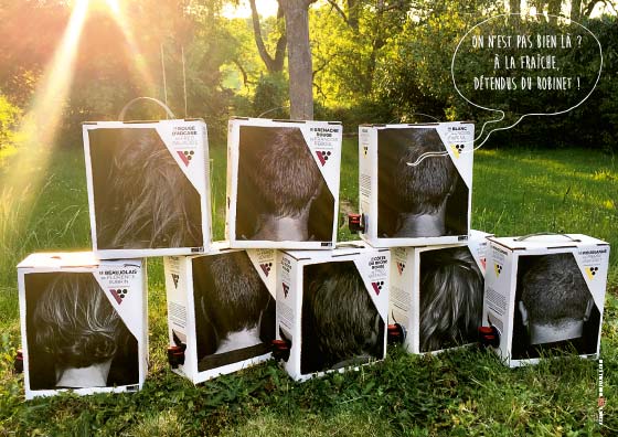 Photographie des cubis de vigneron en boîte en pleine nature avec un rayon de soleil