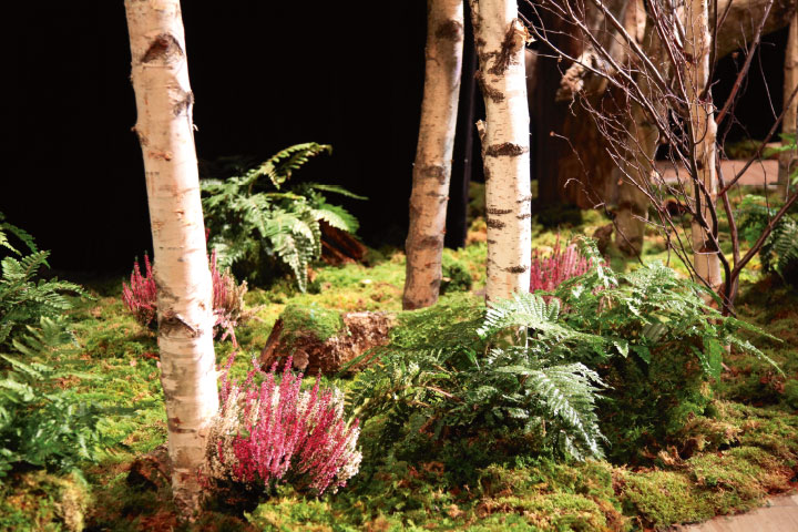 Simulation de nature avec des bouleaux, de la mousse et des fougères naturelles